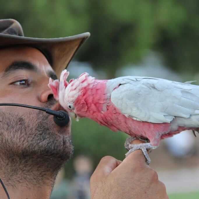 משה משרקי מציג חיות לילדים
